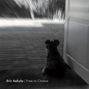 Download track Let Me Go Eric Aakula