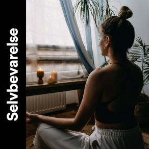 Download track Blå Øjeblikke Meditationsmusik Romantik