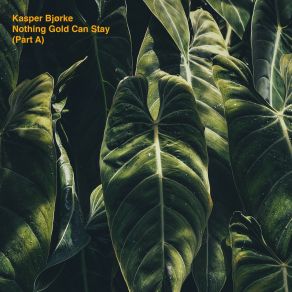 Download track Nothing Gold Can Stay Kasper BjørkeJustin Strauss