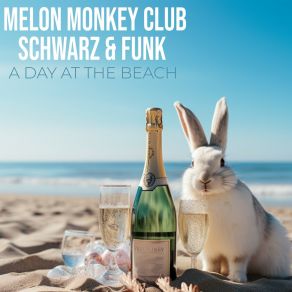 Download track A Day At The Beach (Schwarz & Funk Remix Extended Version) Melon Monkey ClubSchwarz