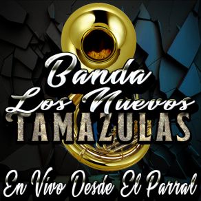 Download track Es Imposible (En Vivo) Banda Los Nuevos Tamazulas