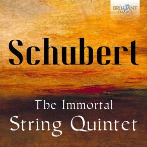 Download track String Quintet In C Major, D. 956 For Two Violins, Viola And Two Cellos: II. Adagio Brandis Quartet, Wen-Sinn Yang