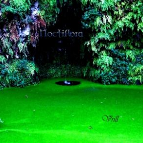 Download track 08 _ Vbr Noctiflora