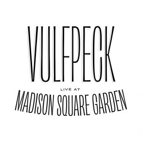 Download track Wait For The Moment (Live At Madison Square Garden) VulfpeckAntwaun Stanley