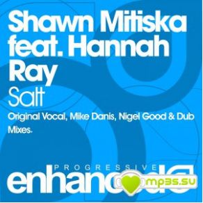 Download track Salt (Nigel Good Remix) Shawn Mitiska, Hannah RayNigel Good