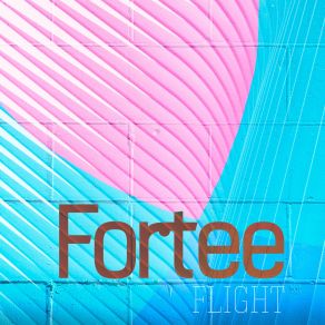 Download track Flight Fortee