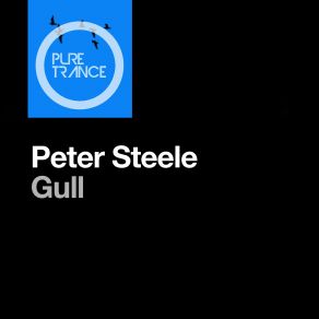 Download track Gull (Extended Mix) Peter Steele