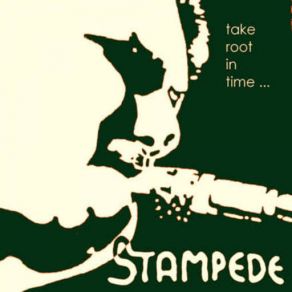 Download track Take Root In Time (Live) Stampede