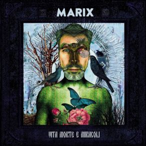 Download track La Visione Marix