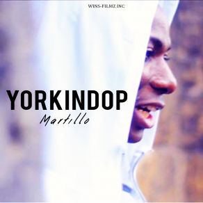 Download track Martillo Yorkindop