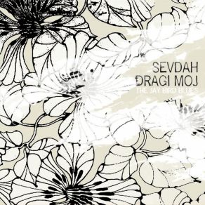 Download track (Sest) - Mujo Dogu Voda Sevdah Dragi Moj