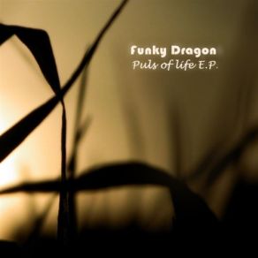 Download track Puls Of Life Funky Dragon