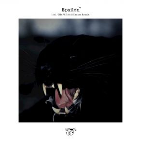 Download track Epsilon (The White Shadow (FR) Remix) DizharmoniaWhite Shadow, The