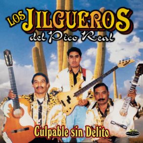 Download track Mis Glorias Ufanas Los Jilgueros Del Pico Real