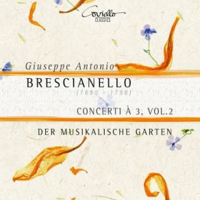 Download track Concerto Settimo In A Minor II. Adagio Der Musikalische Garten