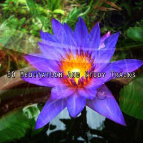 Download track Meditation Marathon White Noise Meditation