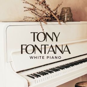 Download track Windy Weather Tony Fontana