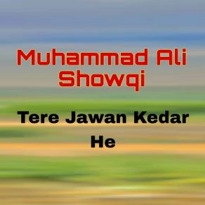 Download track Tere Jawan Kedar He Muhammad Ali Showqi