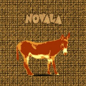 Download track Recalibrate Novala