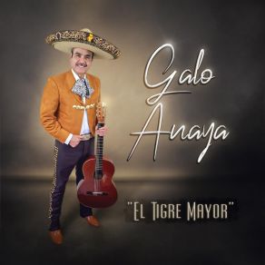 Download track El Tigre Mayor Galo Anaya