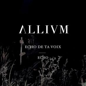 Download track Echo Allivm