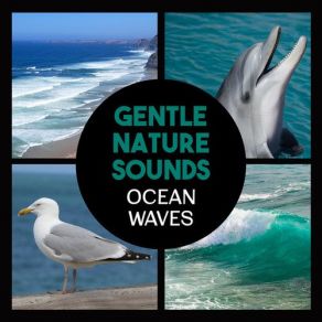 Download track Zen Music With Waves & Birds Water Music Oasis