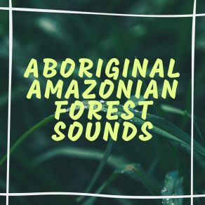 Download track Down The Little Waterfall Amazonian Sounds