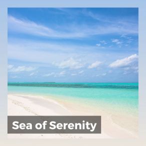 Download track A Serene Vibe While At The Seashore Ocean Sounds