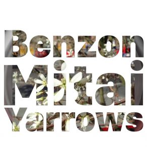 Download track Ayran Benzon Mitai