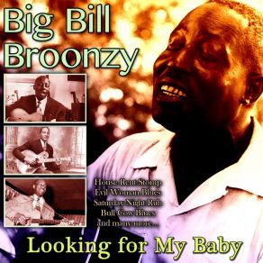 Download track Down In The Basement Blues Big Bill Broonzy