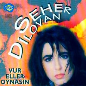 Download track Bir Güzelin Aşığıyım Seher Dilovan