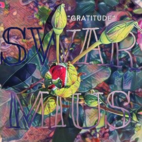 Download track Gratitude Swarmius