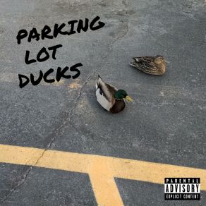 Download track Underwater Parking Lot Ducks