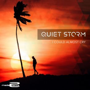 Download track I Could Almost Cry (Soulshaker Remix) Quiet StormSoulshaker