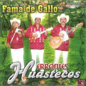 Download track El Cielito Lindo Herrantes Huastecos