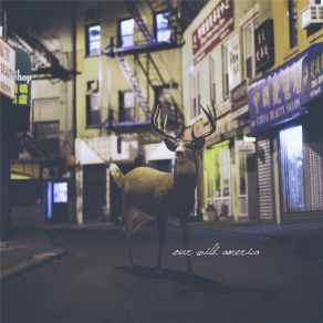 Download track Talkin' To A Pretty Blonde Girl Our Wild America