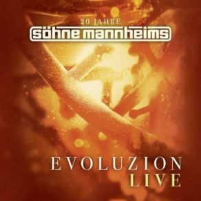 Download track Und Wenn Ein Lied (Live) Söhne Mannheims