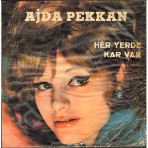 Download track Her Yerde Kar Var Ajda Pekkan