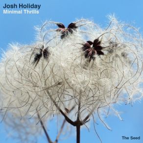 Download track Savory Slugger (Original Mix) Josh Holiday