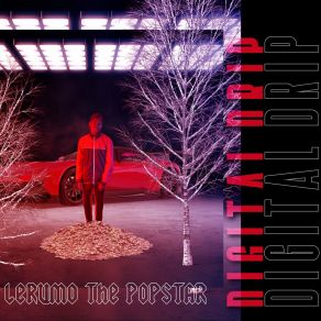 Download track Goose Lerumo The Popstar