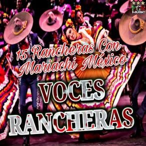 Download track Ambicion Musica Mexicana