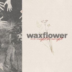 Download track Fake Frown Waxflower