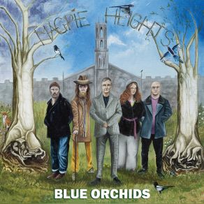 Download track The Face Of Time The Blue Orchids