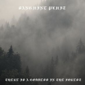 Download track Transcendent Forest Sanguine Pluit