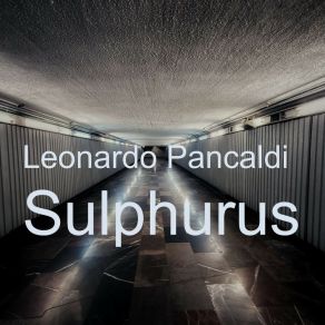 Download track Resolution (Original Mix) Leonardo Pancaldi