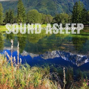 Download track Wyoming Deep Forest Lake Soundscape, Pt. 7 Elijah Wagner