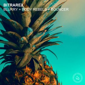 Download track Blurry Bitrarex