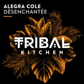 Download track Désenchantée (Extended Mix) Alegra Cole