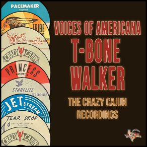 Download track Ain't Your Fool No More T - Bone Walker