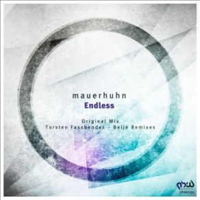 Download track Endless (Torsten Fassbender Remix) Mauerhuhn